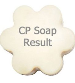 Nature’s Garden Candle & Soap Supplies